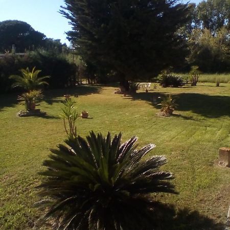 Mamena Bed & Breakfast Paestum Bagian luar foto