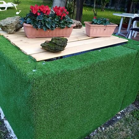 Mamena Bed & Breakfast Paestum Bagian luar foto