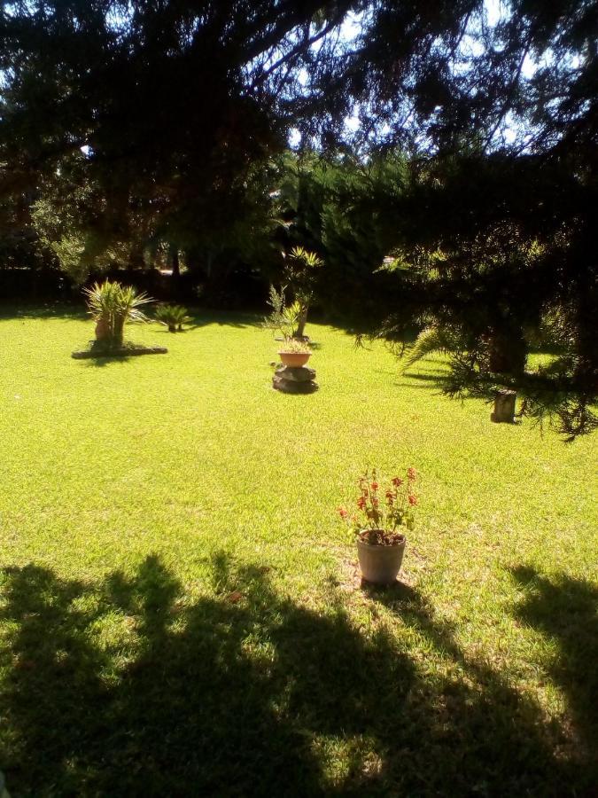 Mamena Bed & Breakfast Paestum Bagian luar foto