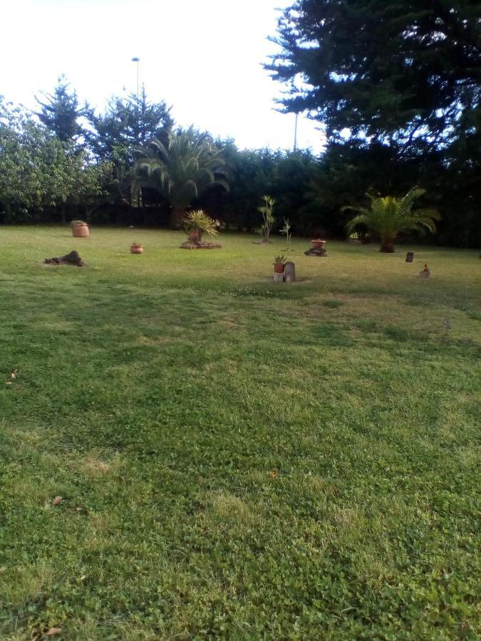 Mamena Bed & Breakfast Paestum Bagian luar foto