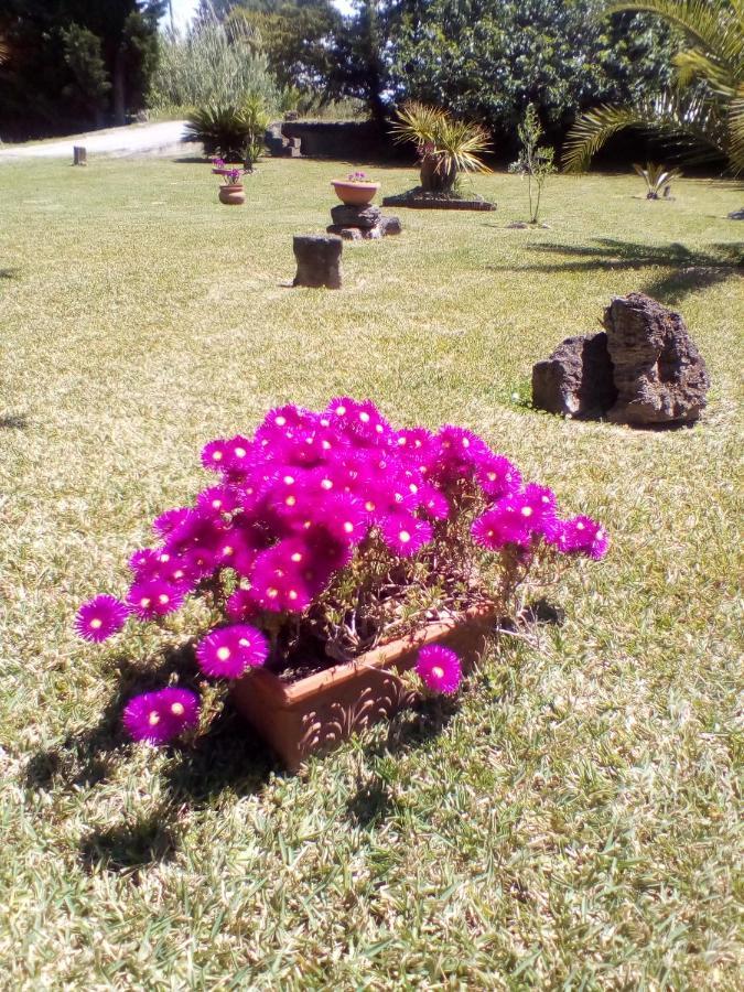 Mamena Bed & Breakfast Paestum Bagian luar foto