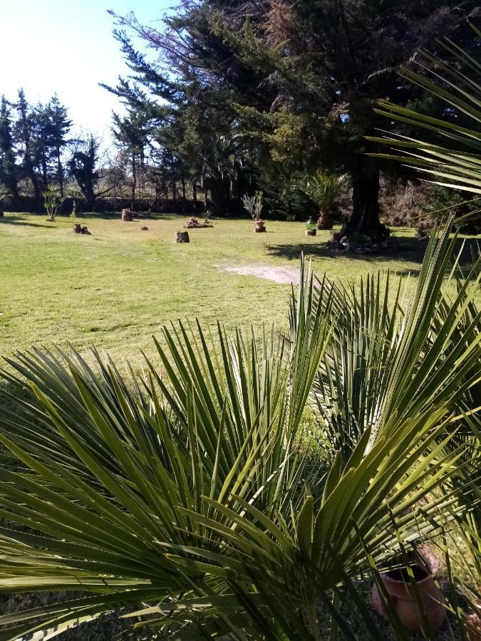 Mamena Bed & Breakfast Paestum Bagian luar foto