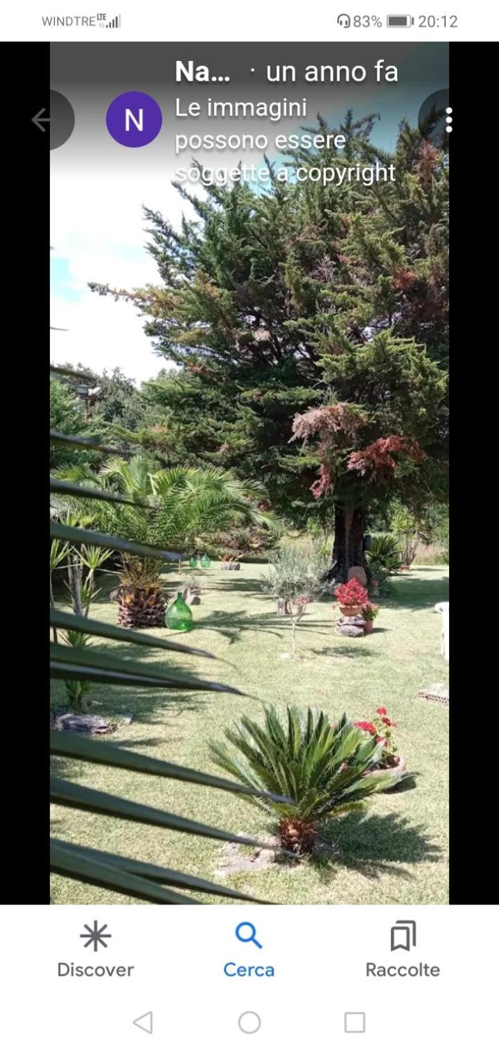Mamena Bed & Breakfast Paestum Bagian luar foto