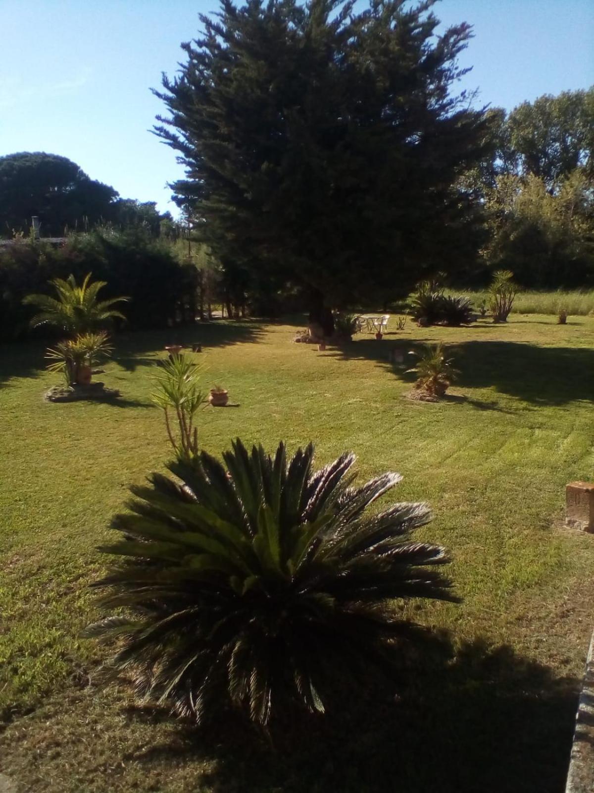 Mamena Bed & Breakfast Paestum Bagian luar foto